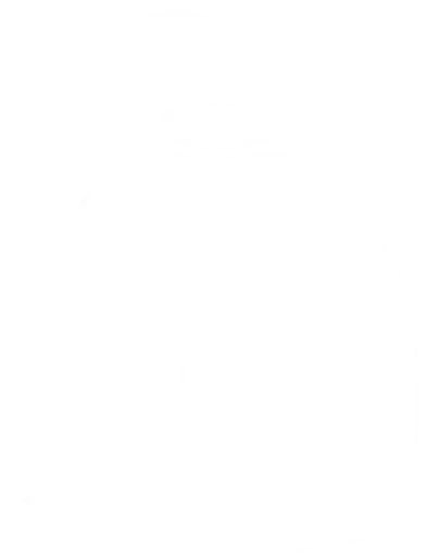 We Leverage Global Talent All around the World Methodology, 11 We Leverage Global Talent All around the World Methodology, 11 - intetics.com